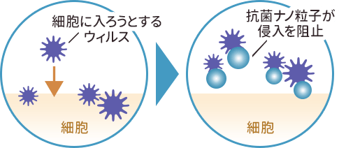 抗菌ナノ粒子が、細胞に入ろうとするウィルスを阻止