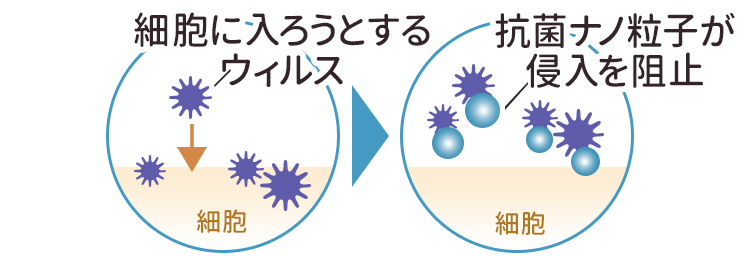 抗菌ナノ粒子が、細胞に入ろうとするウィルスを阻止