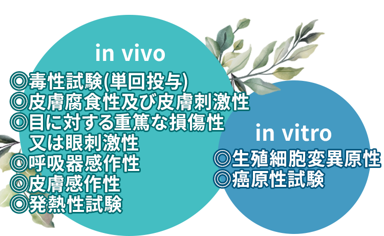 in vivo安全性試験もクリア。人・動物の安全性の評価にはin vivoとin vitroの2つの試験があり、そのすべてに陰性結果が出ています。
