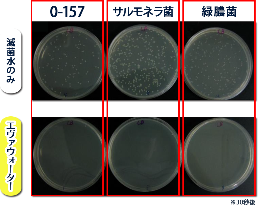 エヴァ水では、3種のウィルス菌が滅菌・除菌できている。滅菌水のみでは繁殖している実験結果を表す画像