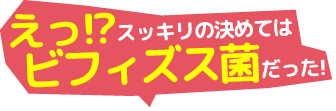 えっ!?スッキリの決めてはビフィズス菌だった！