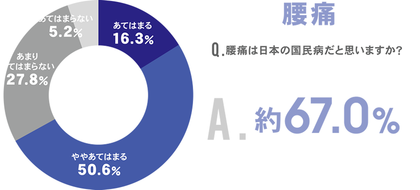 代表的な腰痛においてはQ.腰痛は日本の国民病だと思いますか？A.腰痛は国民病だと思う約67.0%
